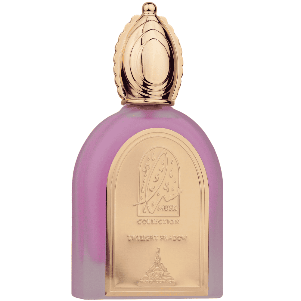 Paris Corner Twilight Shadow