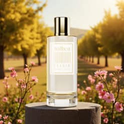 Sorgenta Halbea 206 Elixir