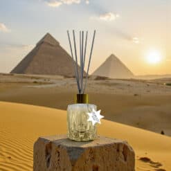 Tropicana Premium Raumduft – Egypt (Limited Edition)