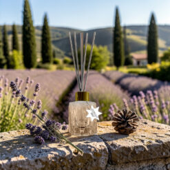 Tropicana Premium Raumduft – Italy (Limited Edition)