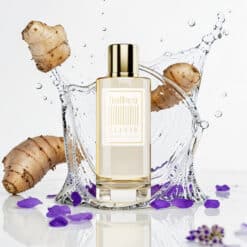 Sorgenta Halbea 176 Elixir